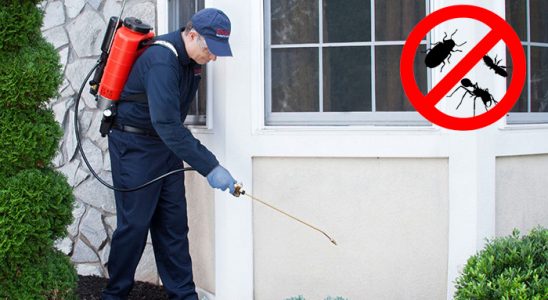 Dilovası Gümüşkurt İlaçlama böcek ilaçlama ve haşere kontrolü — ilaclama-tr.com